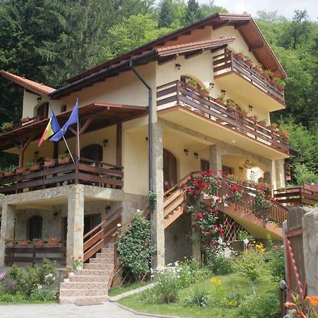 Casa Anca Boutique Hotel Timisu de Jos Exterior foto